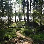 別荘 Peaceful Seaside In Voera, Finland With Private Sandy & Wood-fired Sauna Oravais
