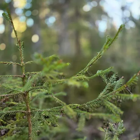 Vakantiehuis Med Strandbastu