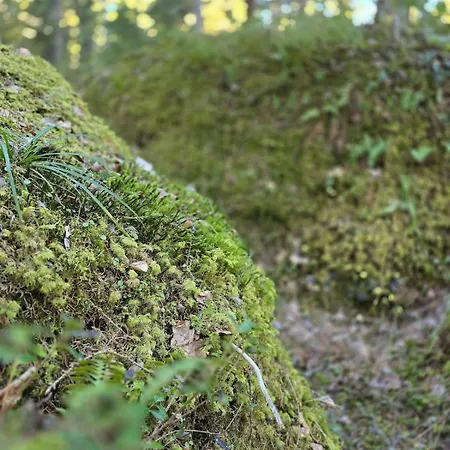 Hébergement de vacances Med Strandbastu Oravais