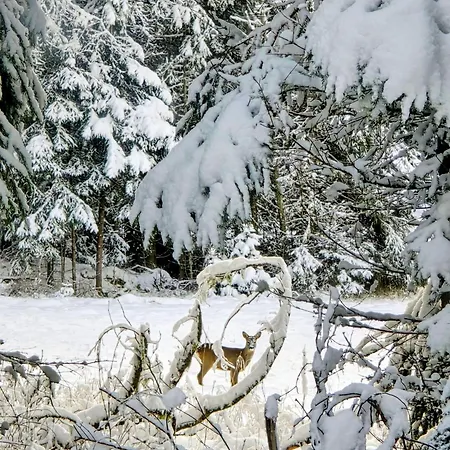 Med Strandbastu Holiday home *