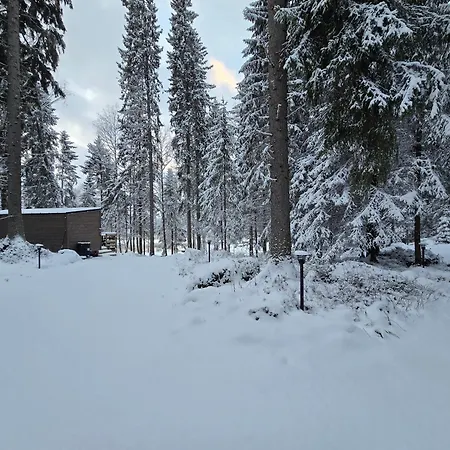 Peaceful Seaside In Voera, Finland With Private Sandy & Wood-fired Sauna Oravais