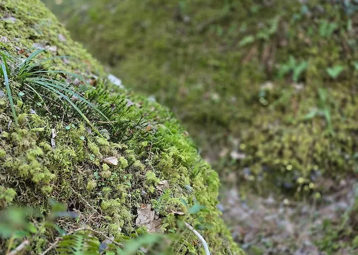 בית נופש Med Strandbastu Oravais