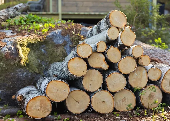 Med Strandbastu * Oravais