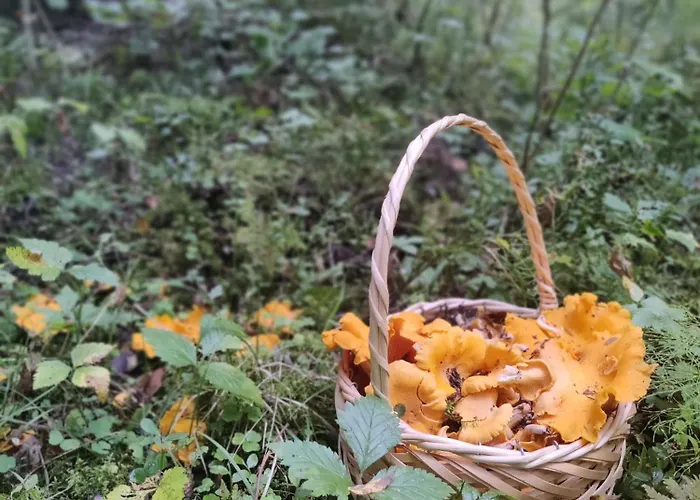 Ferienhaus Med Strandbastu
