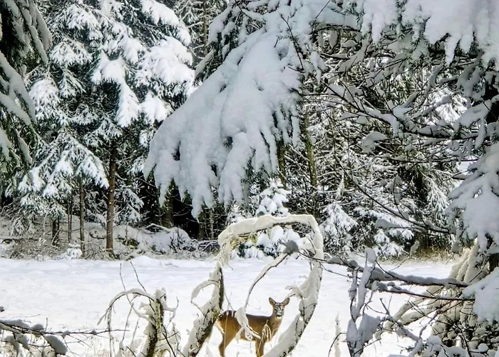 Med Strandbastu בית נופש *